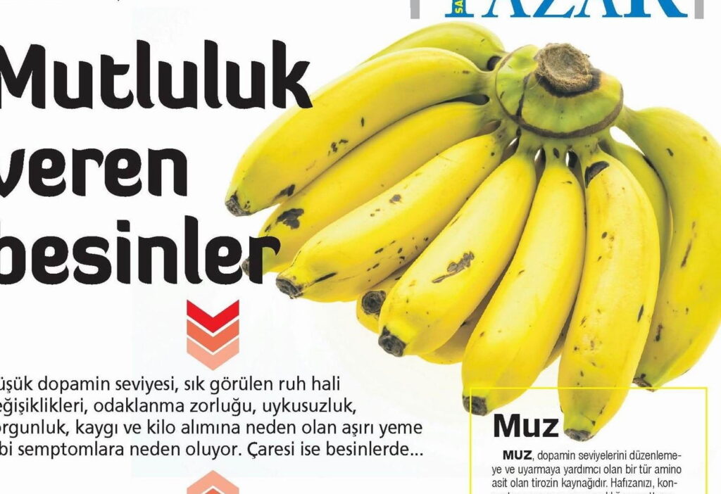 Yeni Asir - 18.8.19 B (002) | Dr. Sinan Akkurt Mutluluk veren besinler